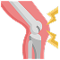 Bone & Joint
