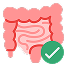 Gut Health